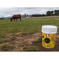 Pail Bucket & Lid 17.5 kg size 15L VP15LWH