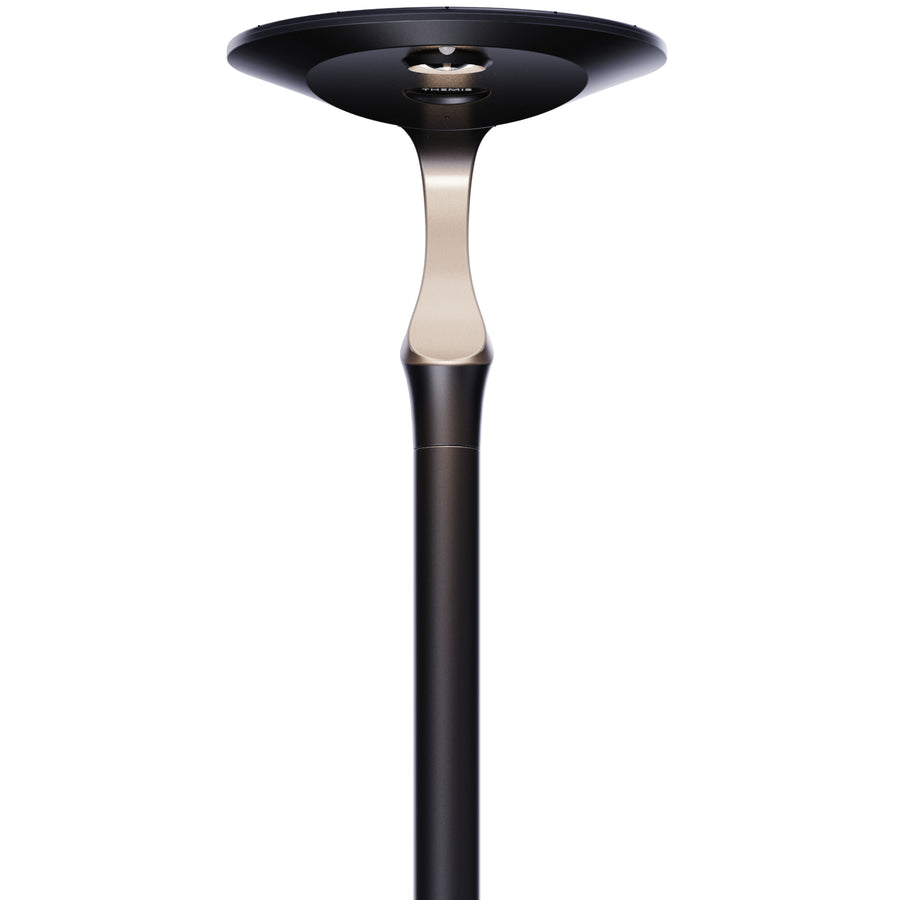 IVY | Darksky Approved Solar Post Top Light