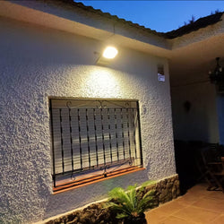 Wall Mounted Solar Flood Light