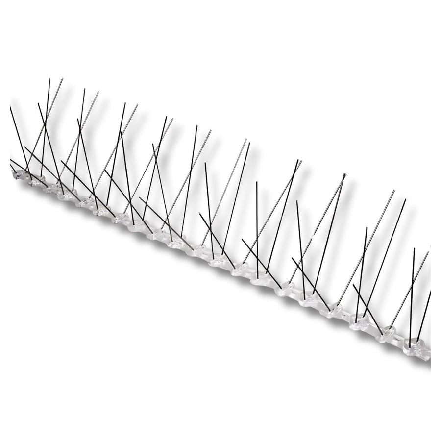Anti Bird Stainless Steel Spikes – Wide | 50cm Strip