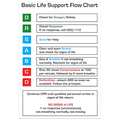 AEROGUIDE CPR Flow Chart Card 10 x 14cm