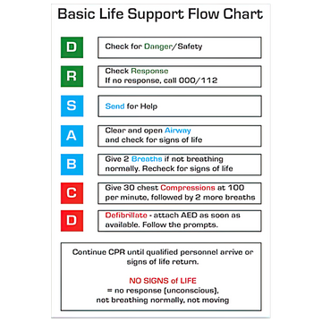 AEROGUIDE CPR Flow Chart Card 10 x 14cm