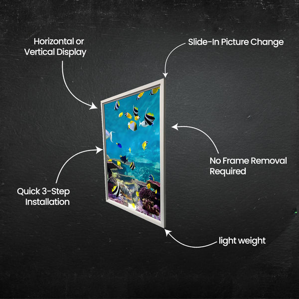 DFSM-IN Picture Frame