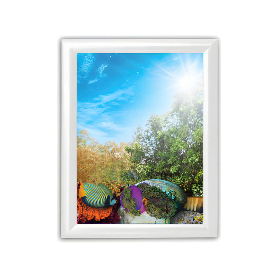 Mitre Snap Frame Sign - 25mm - Multiple Sizes