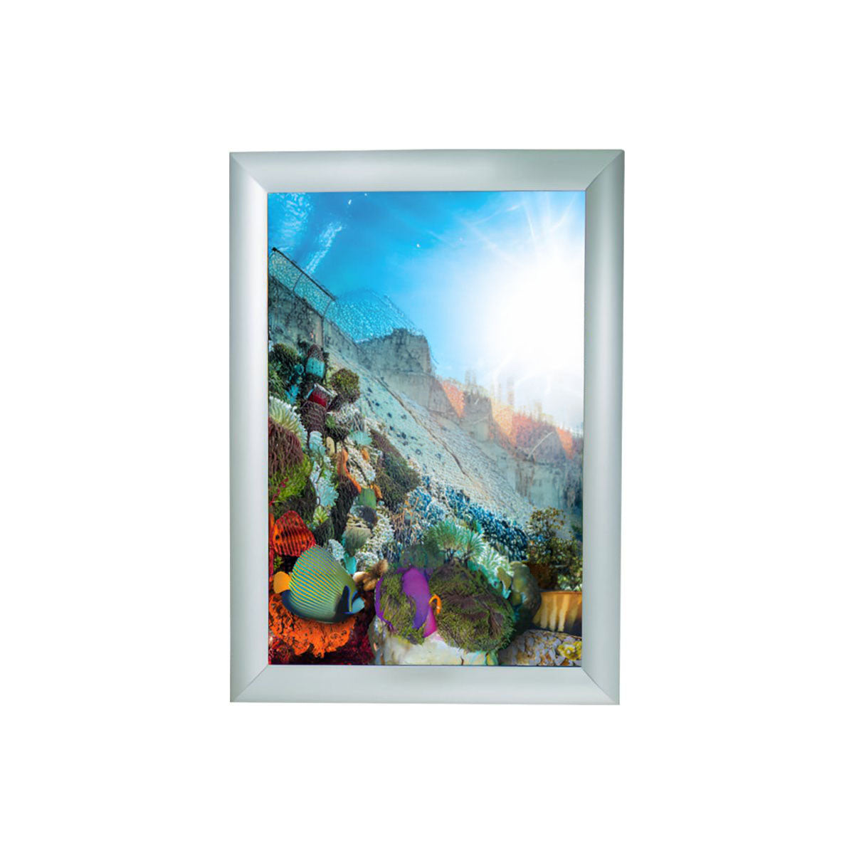 Framed picture of a colorful underwater scene with fish and coral.