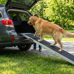 Aluminium Folding Pet Ramp - 2.15m Long - Steel & Aluminium Loading Ramps