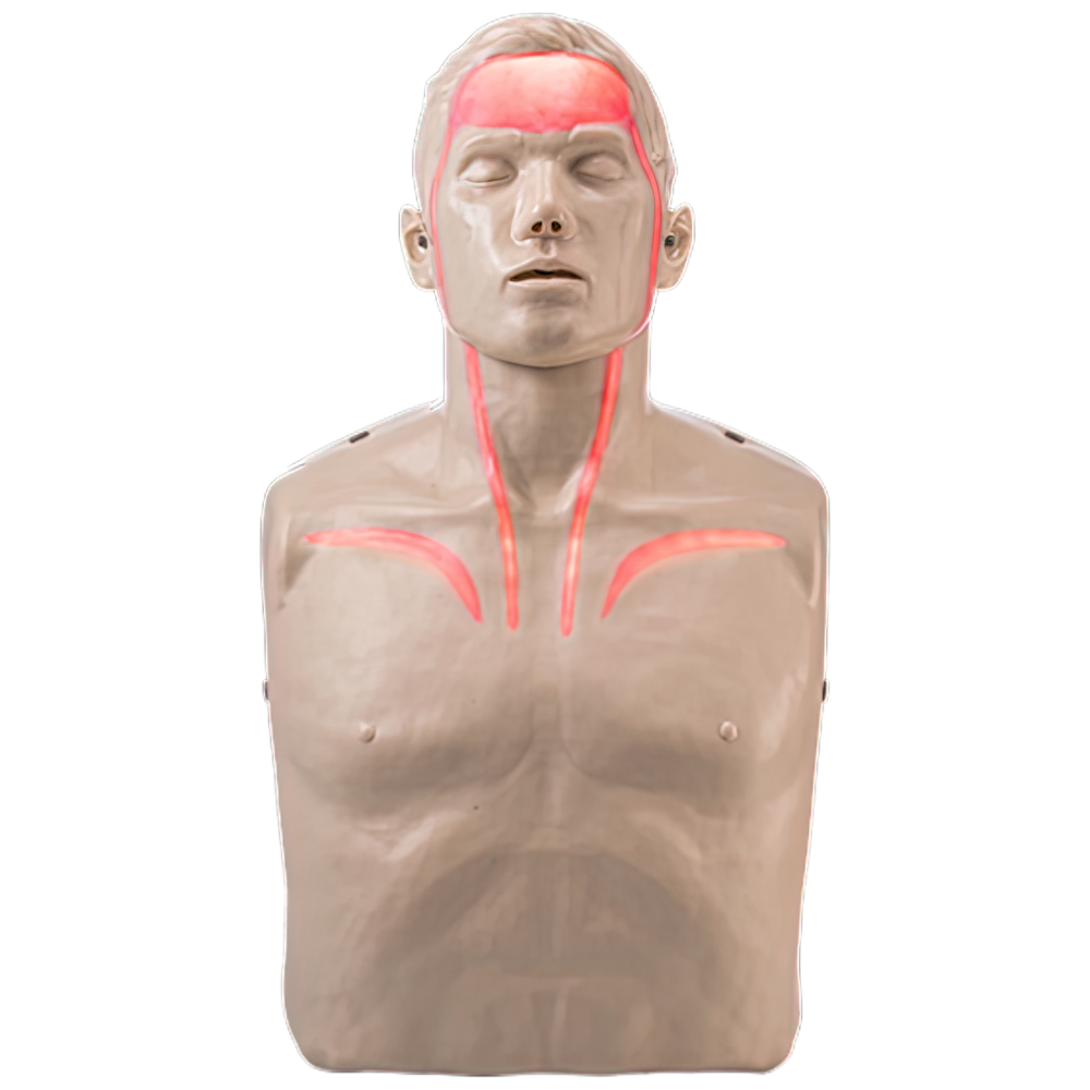 BRAYDEN Pulse CPR Manikin (With Lights)