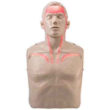 BRAYDEN Pulse CPR Manikin (With Lights)