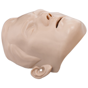 BRAYDEN Manikin Face Skin - Adult