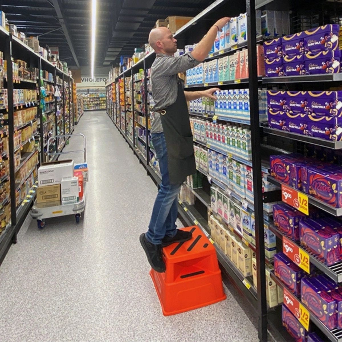 Industrial Safety Step Stool - 250kg Capacity