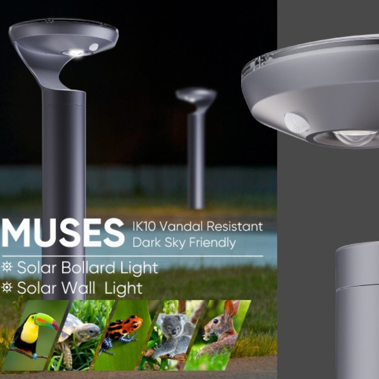 IVY | Darksky Approved Solar Bollard Light - 900mm