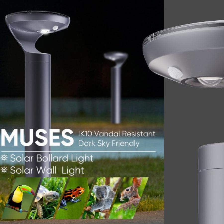 IVY | Darksky Approved Solar Bollard Light - 900mm