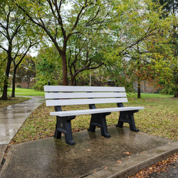Replas Bench