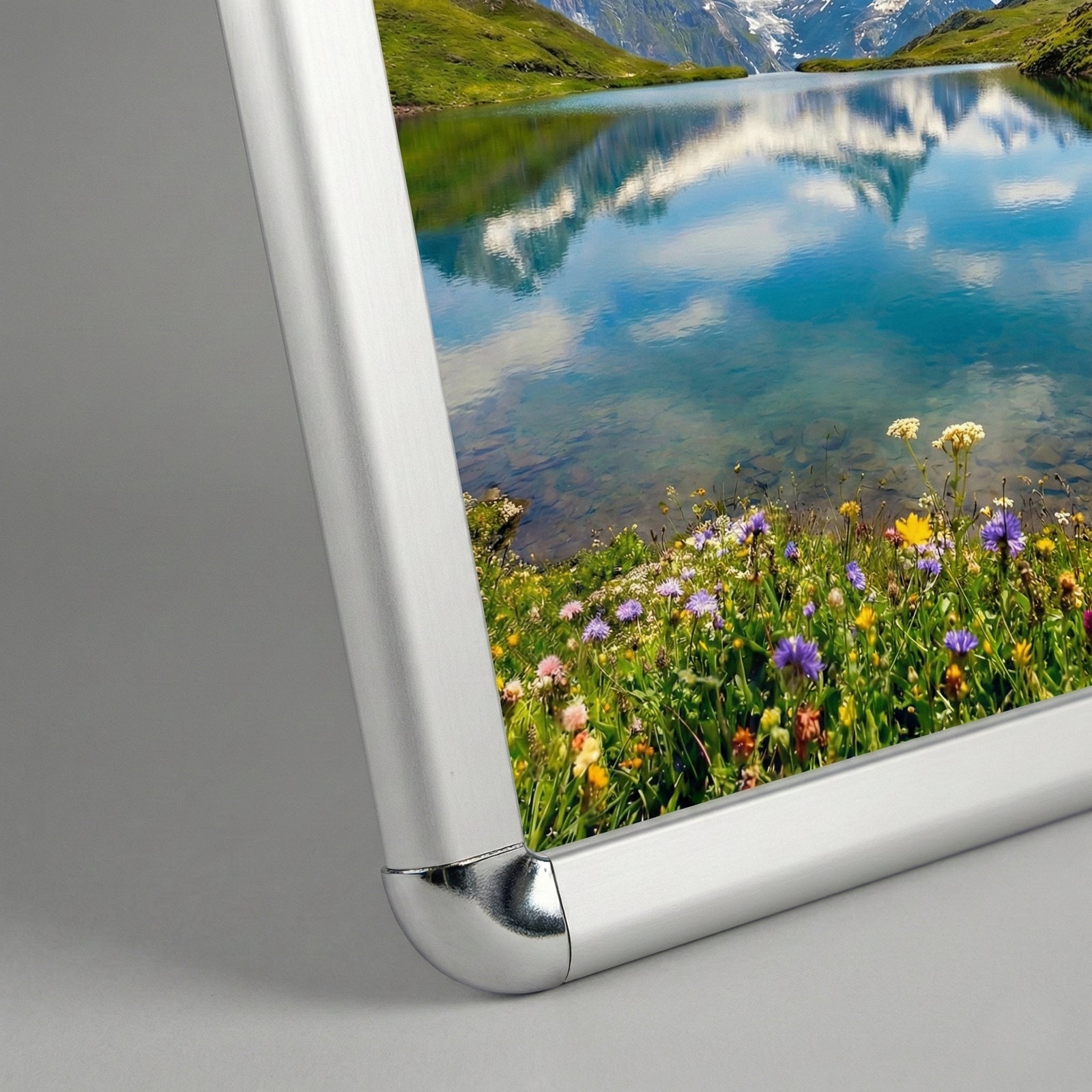 Rounded Single Snap Frame - Multiple Sizes