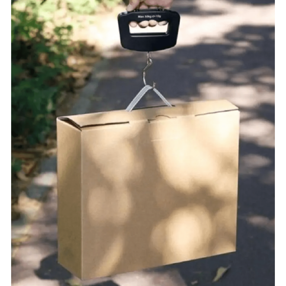 Digital Portable Scale