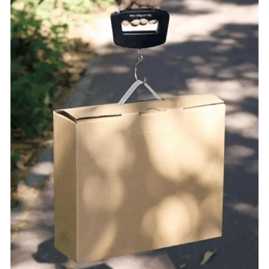 Digital Portable Scale