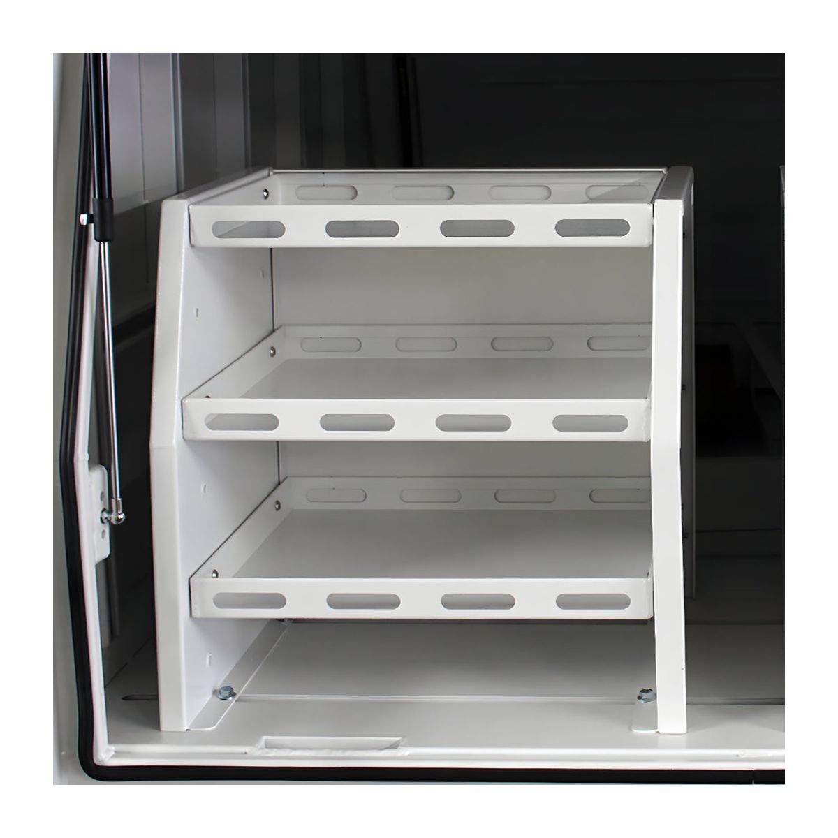 Canopy Shelf Unit