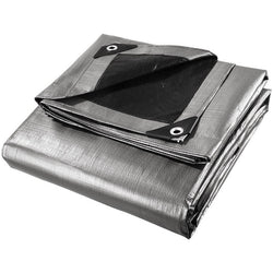 Tarp