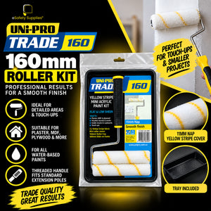 160mm acrylic mini paint roller set with an 11mm nap woven fabric cover designed for medium texture coverage.