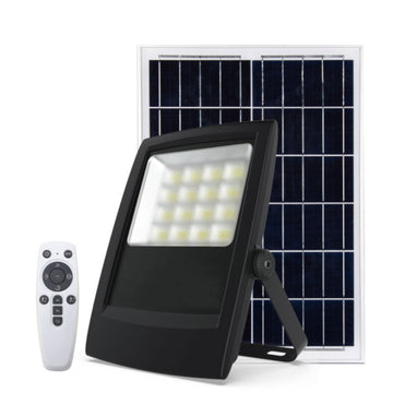 Wall Mounted Solar Flood Light