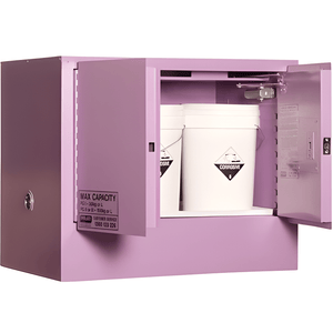 Corrosive Storage Cabinet 100L 2 Door, 1 Shelf