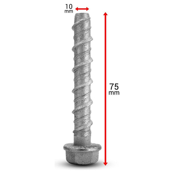 Screw Bolt - Galvanised - 10 x 75mm