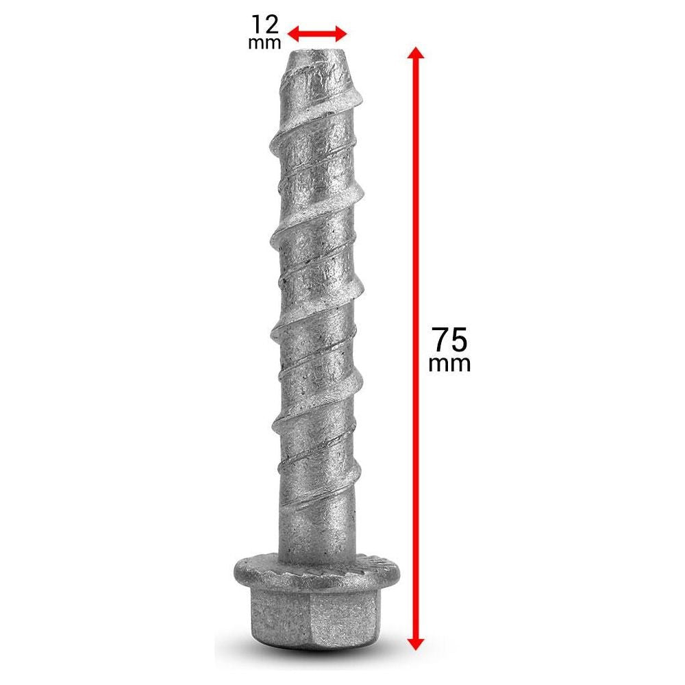 Screw Bolt - Galvanised - 12 x 75mm