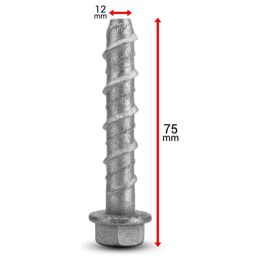 Screw Bolt - Galvanised - 12 x 75mm